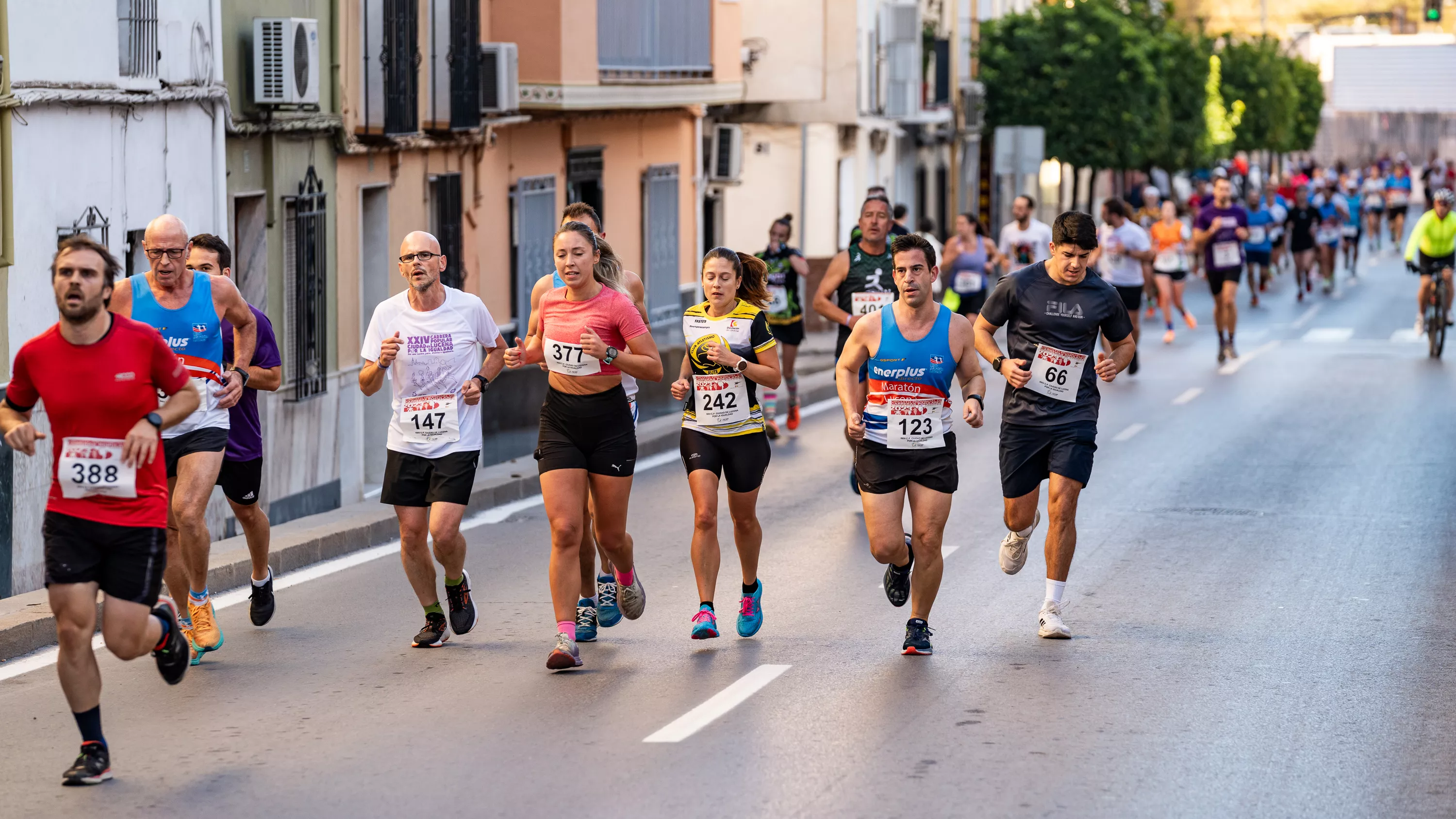 XXIV Carrera Popular Ciudad de Lucena. Salida. Foto: Jesús Cañete XXIV Carrera Popular Ciudad de Lucena. Salida. Foto: Jesús Cañete