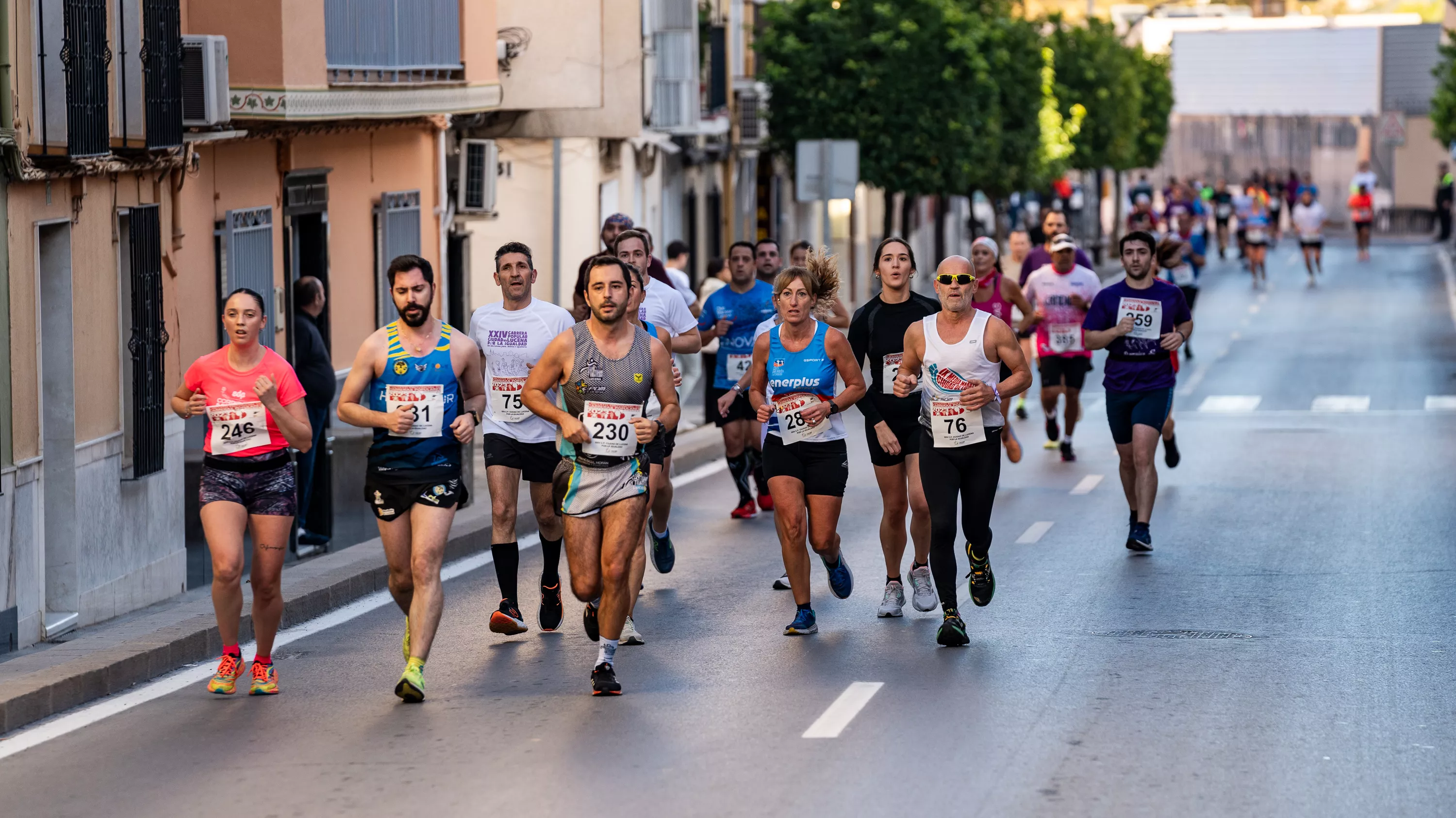 XXIV Carrera Popular Ciudad de Lucena. Salida. Foto: Jesús Cañete XXIV Carrera Popular Ciudad de Lucena. Salida. Foto: Jesús Cañete