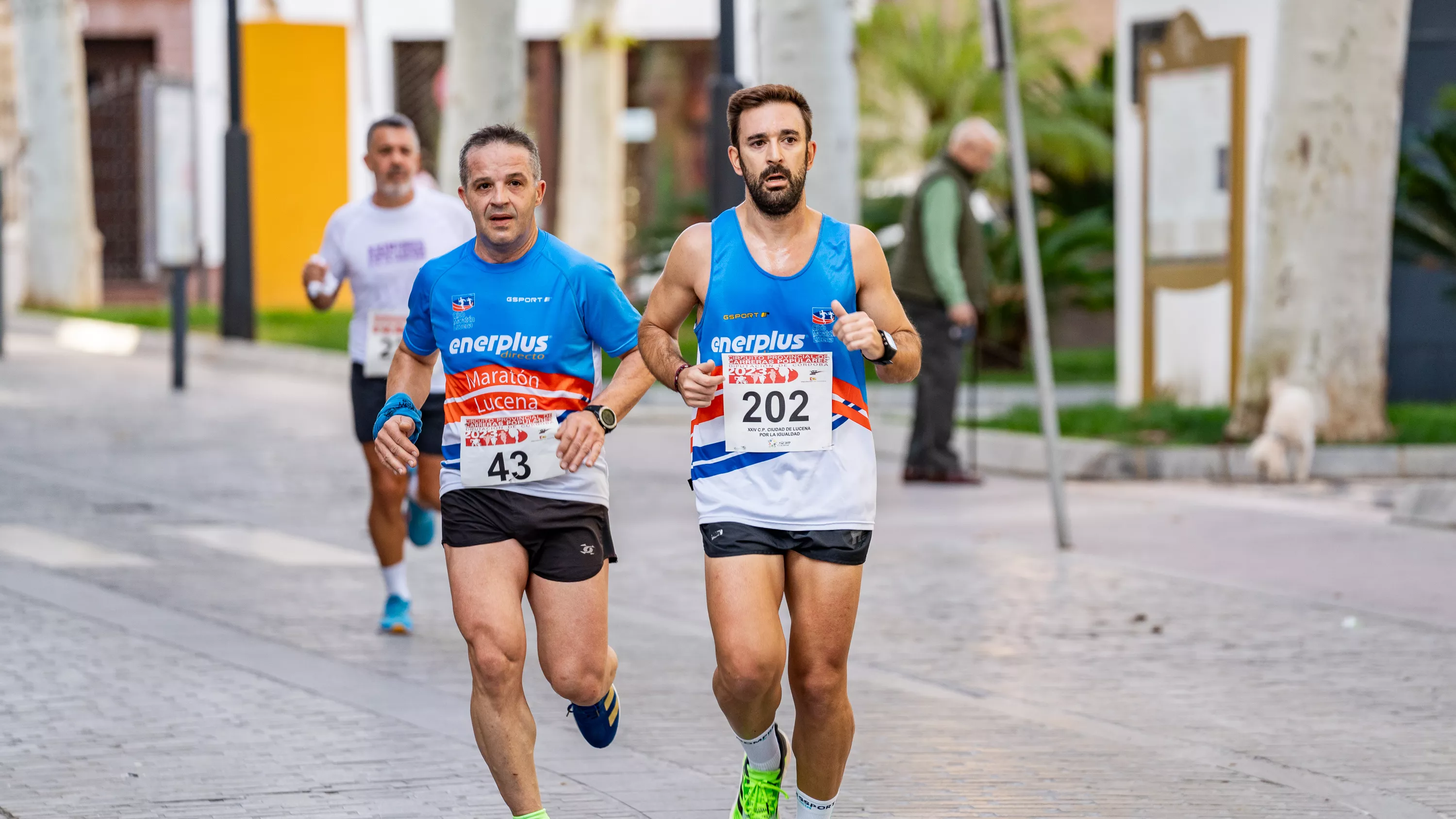 XXIV Carrera Popular 'Ciudad de Lucena' XXIV Carrera Popular 'Ciudad de Lucena'
