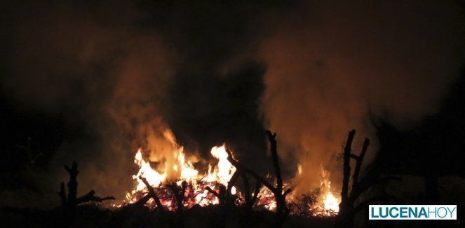  Una fogatas de restos de poda junto al polígono de la Viñuela hacen temer un incendio 