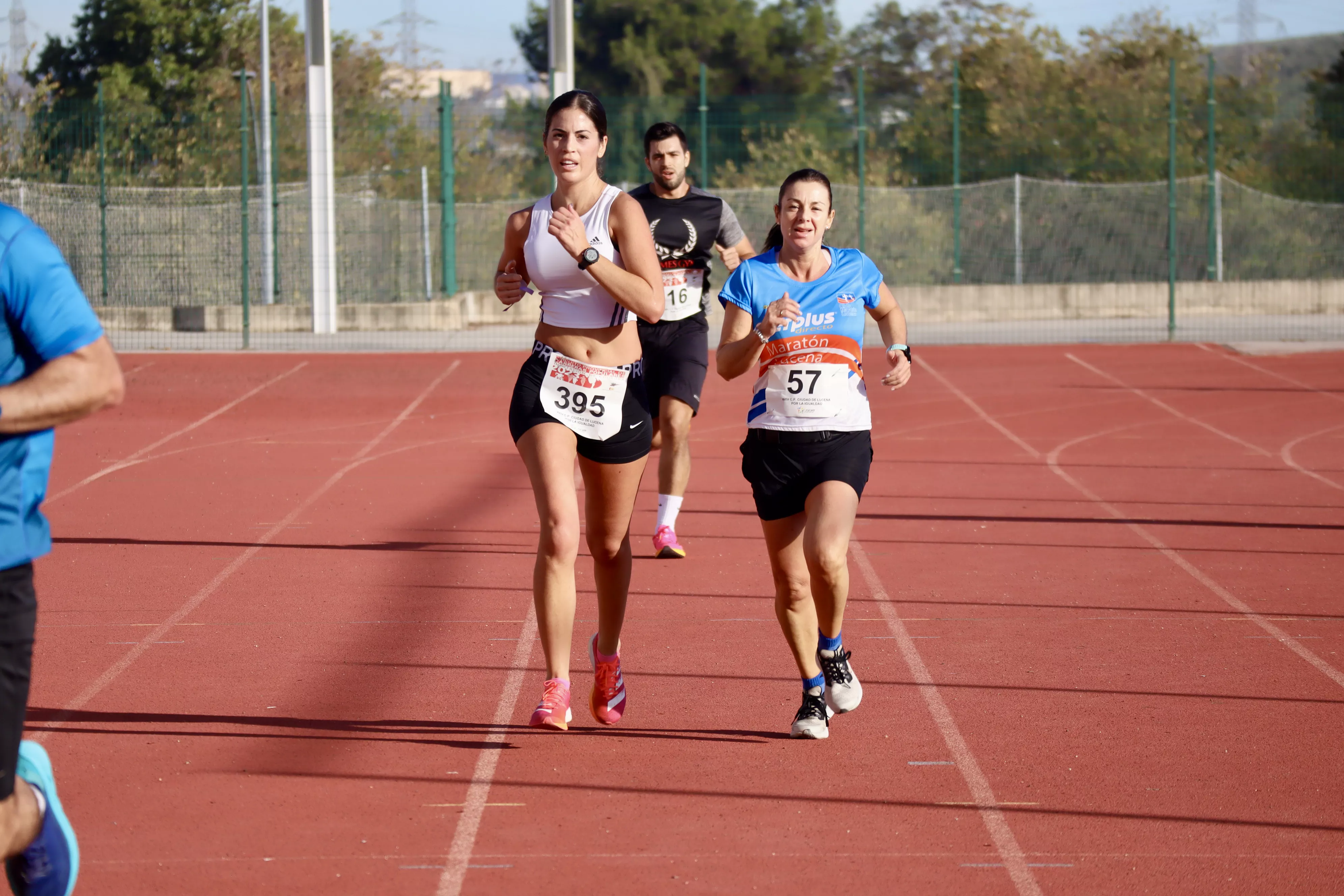 XXIV Carrera Popular Ciudad de Lucena. Meta XXIV Carrera Popular Ciudad de Lucena. Meta