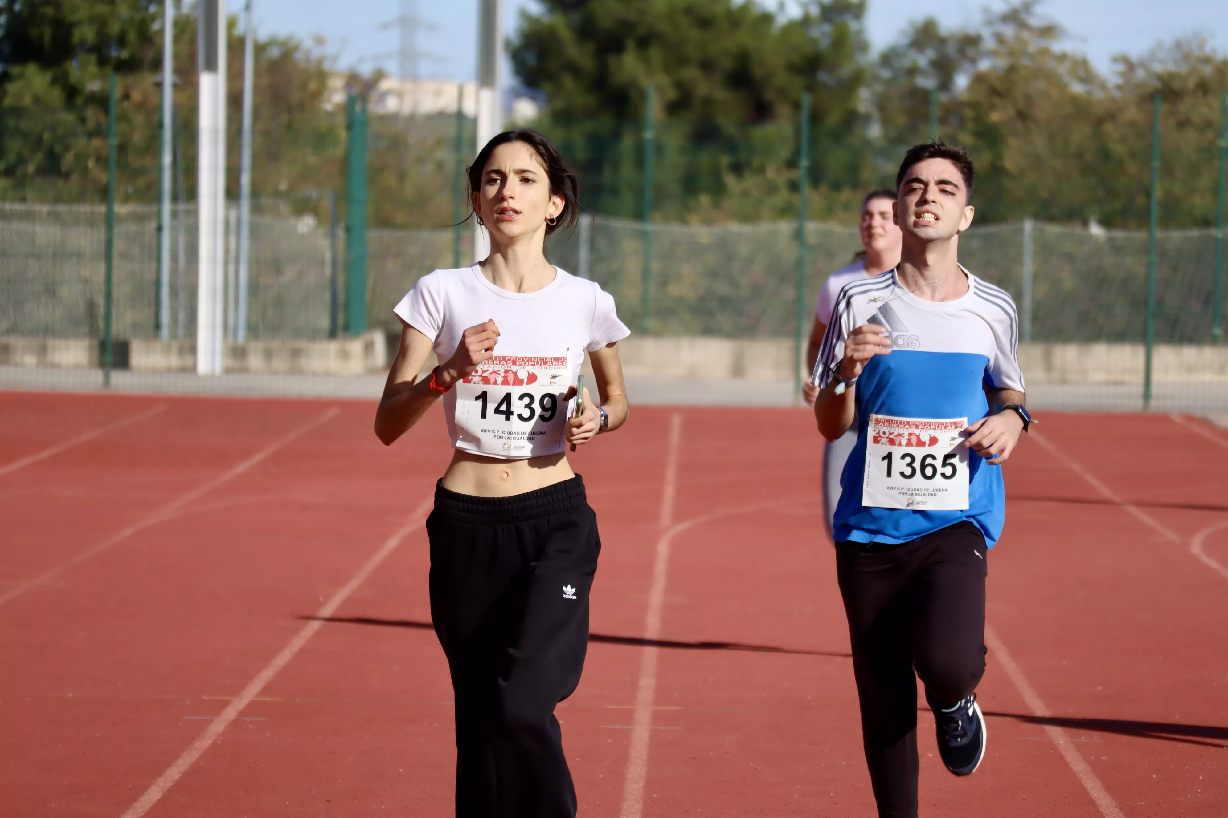 XXIV Carrera Popular 'Ciudad de Lucena'. Categorías Base XXIV Carrera Popular 'Ciudad de Lucena'. Categorías Base
