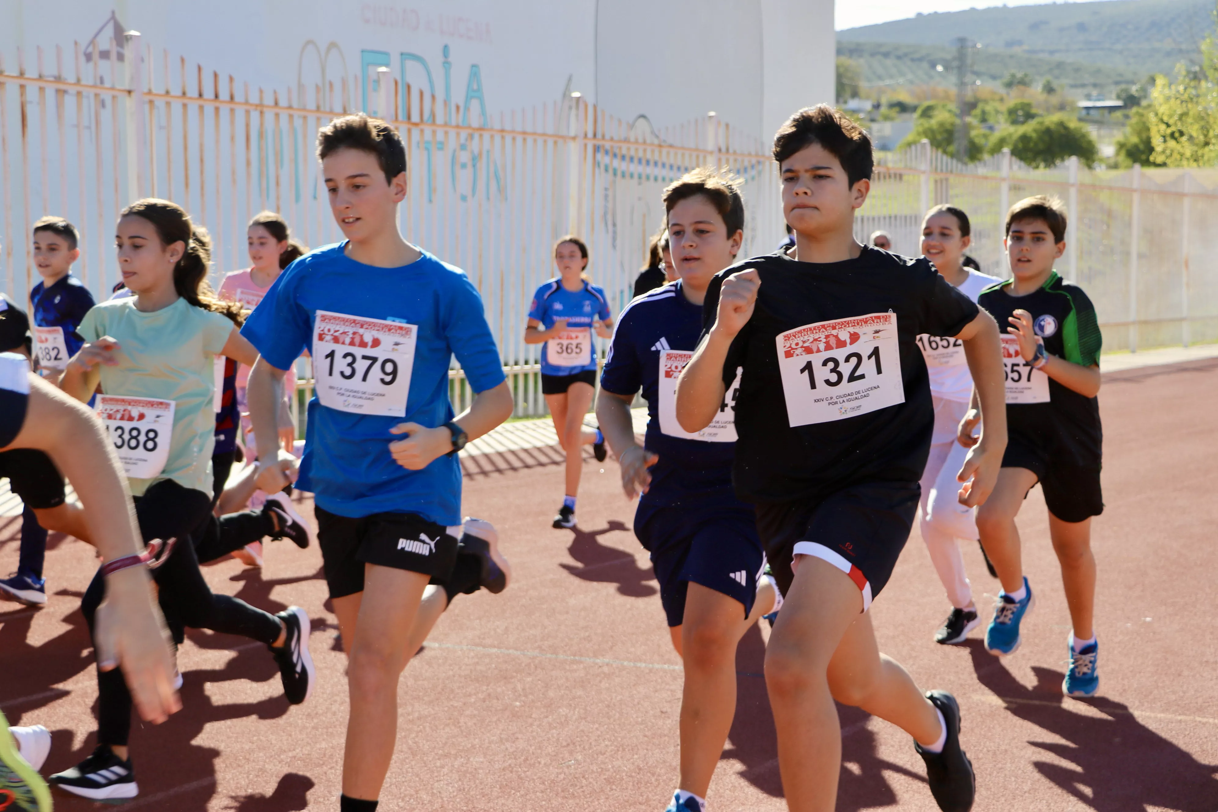 XXIV Carrera Popular 'Ciudad de Lucena'. Categorías Base XXIV Carrera Popular 'Ciudad de Lucena'. Categorías Base