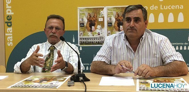  Algunos de los mejores perros 'pastor alemán' se dan cita en Lucena este fin de semana 