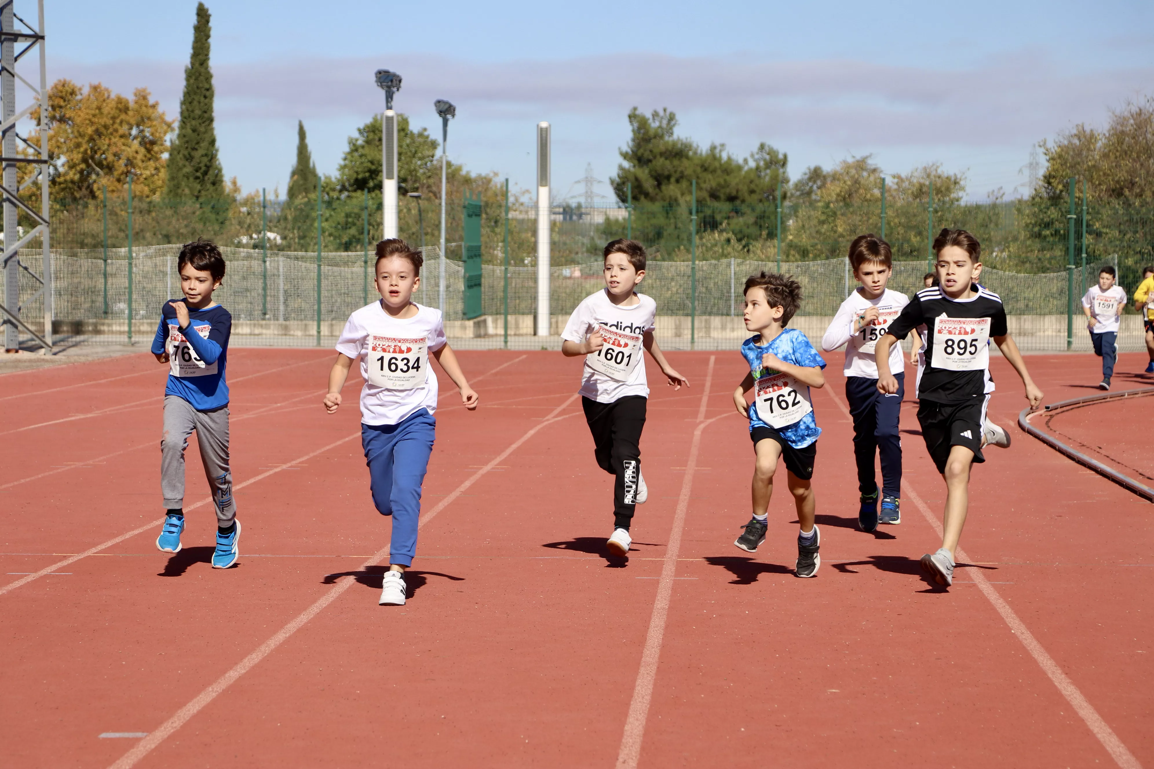 XXIV Carrera Popular 'Ciudad de Lucena'. Categorías Base XXIV Carrera Popular 'Ciudad de Lucena'. Categorías Base