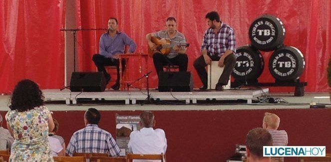 La Caseta Municipal acoge un festival flamenco a beneficio de la parroquia de Santiago (fotos) 