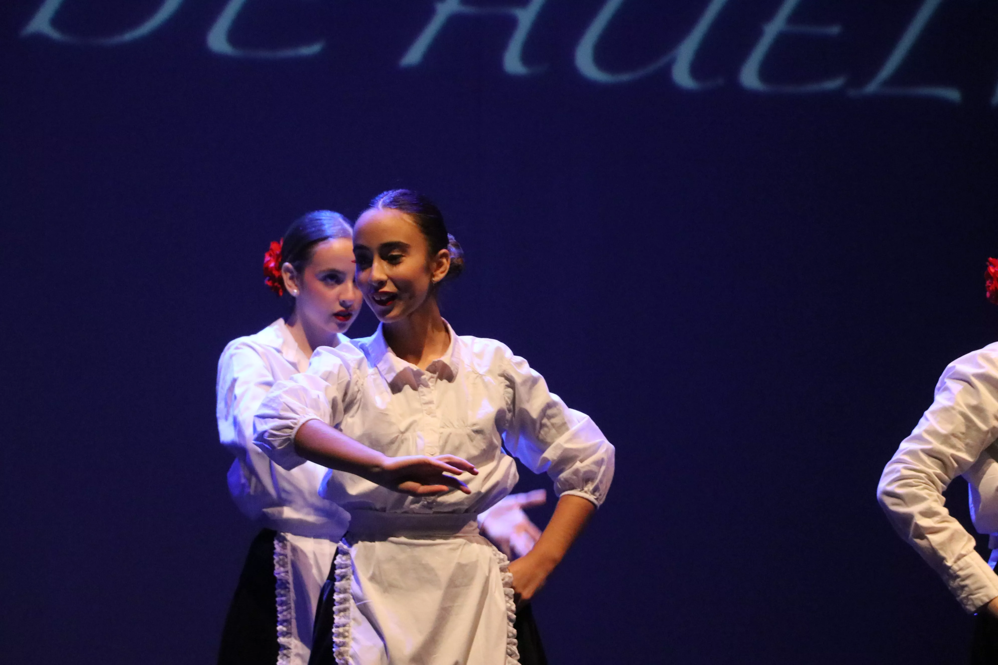 Día Mundial del Flamenco. Escuela Municipal de Música y Danza