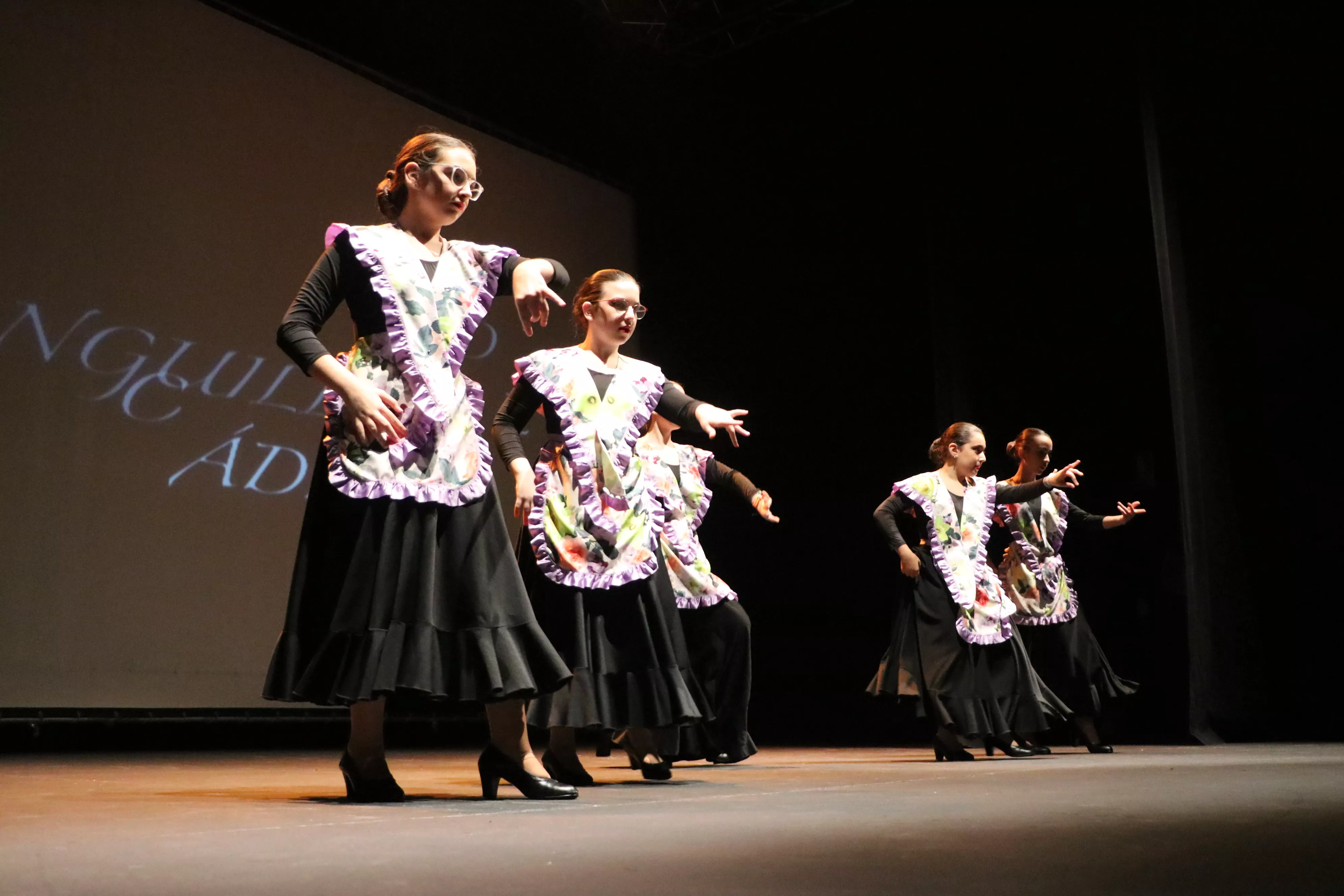 Día Mundial del Flamenco. Escuela Municipal de Música y Danza Día Mundial del Flamenco. Escuela Municipal de Música y Danza