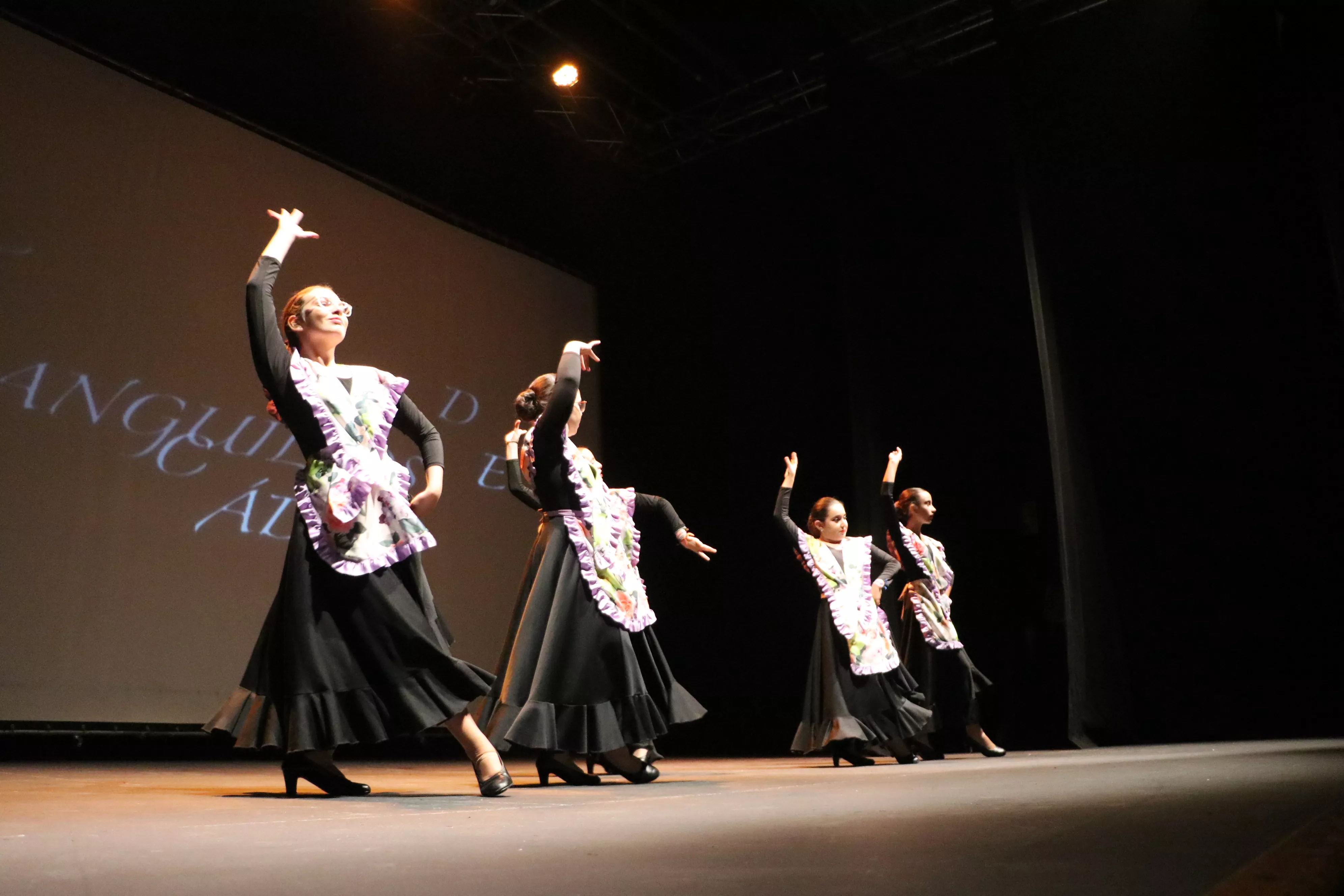 Día Mundial del Flamenco. Escuela Municipal de Música y Danza Día Mundial del Flamenco. Escuela Municipal de Música y Danza
