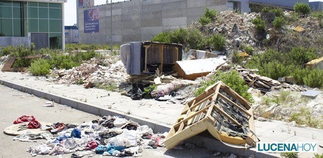  Suciedad y abandono, un problema a resolver en el polígono de Los Polvillares (fotos) 