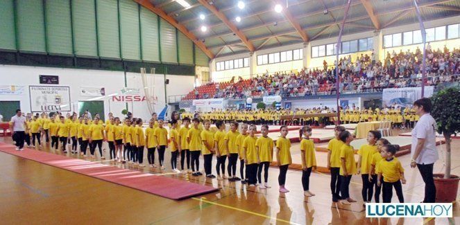  El espectáculo del Club Lucentino de Gimnasia precede al campeonato andaluz (fotos) 