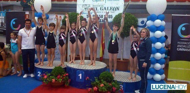  El Club Lucentino de Gimnasia consigue 8 medallas en el Campeonato Andaluz Absoluto (fotos) 