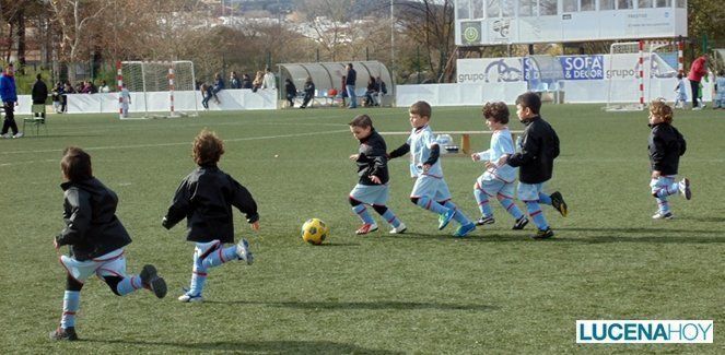  El PDM sostiene que su intención es tratar a todos los clubes de forma justa e igualitaria 