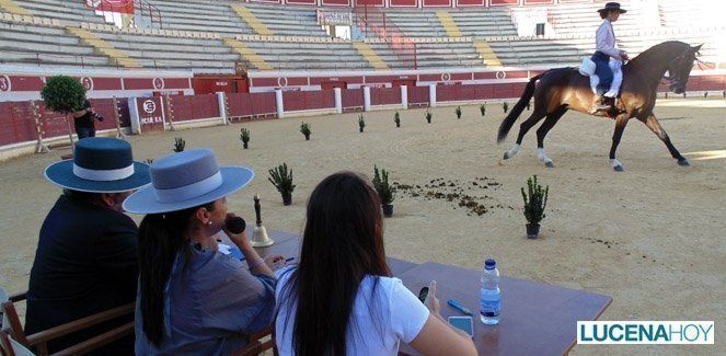  La primera exhibición de doma para aficionados reúne a jinetes y amazonas lucentinos (fotos) 