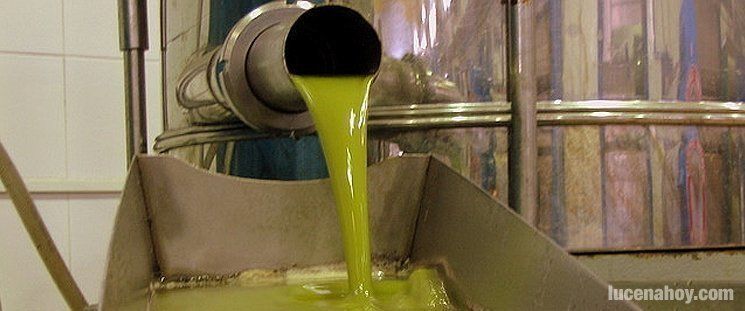  Lucena obtuvo un cifra récord de 24.138 toneladas de aceite de oliva en la campaña 2013-14 