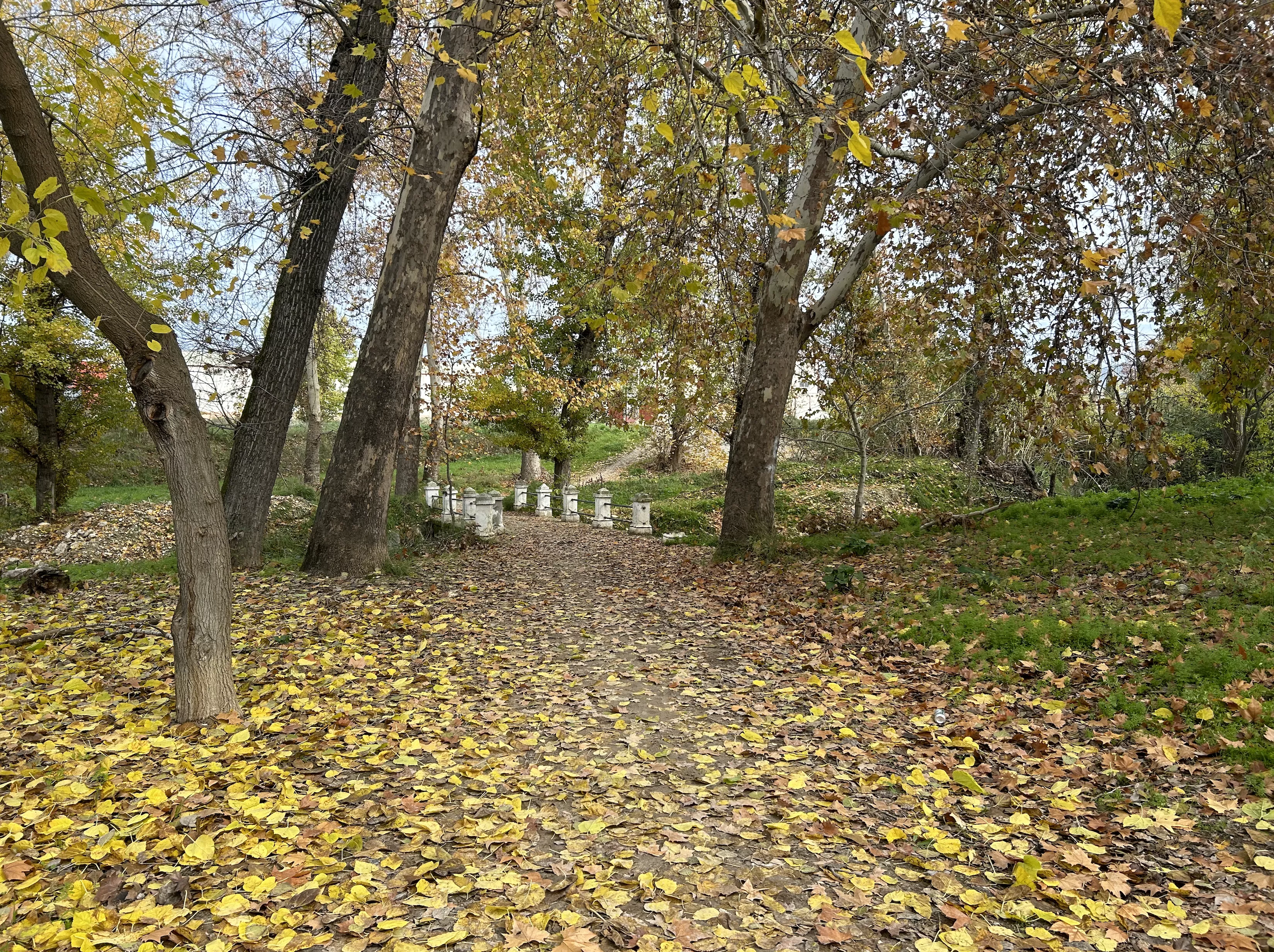 Una imagen actual del Paseo del Cascajar