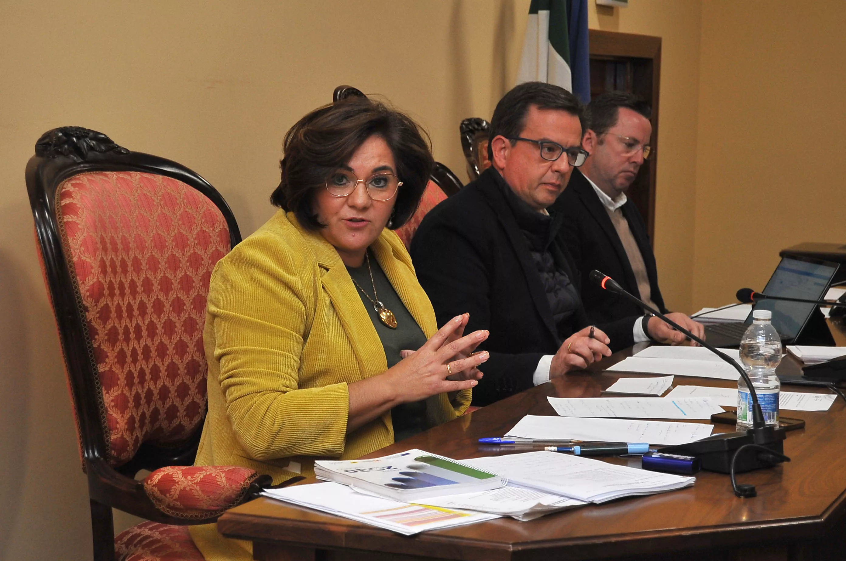 María de la O Redondo, concejala de Hacienda, durante su exposición en el pleno de presupuestos