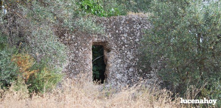  El ayuntamiento espera adquirir los terrenos de Morana antes de que acabe el año 