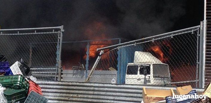  Un incendio calcina 50 vehículos en las antiguas Industrias Frigarcía (vídeo y fotos) 