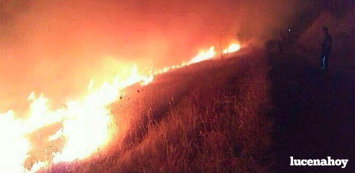  Los bomberos extinguen dos incendios de pastos en distintas zonas de la ciudad en apenas dos horas 