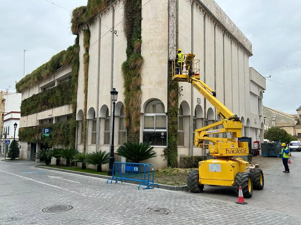 Trabajos de eliminación del jardín vertical del Ayuntamiento de Lucena