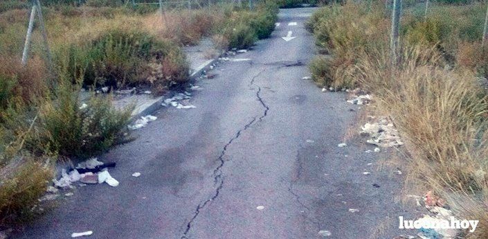  'Ciudadanos Lucena' denuncia la situación de abandono de los alrededores de Jardín Lucena 