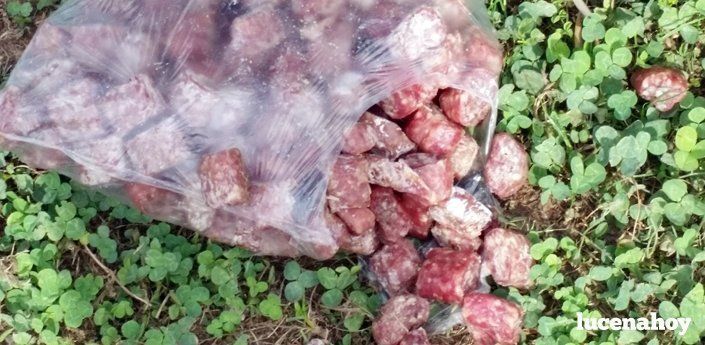  Identificada una mujer por depositar en unos jardines públicos alimentos envenenados y con cristales y alfileres 