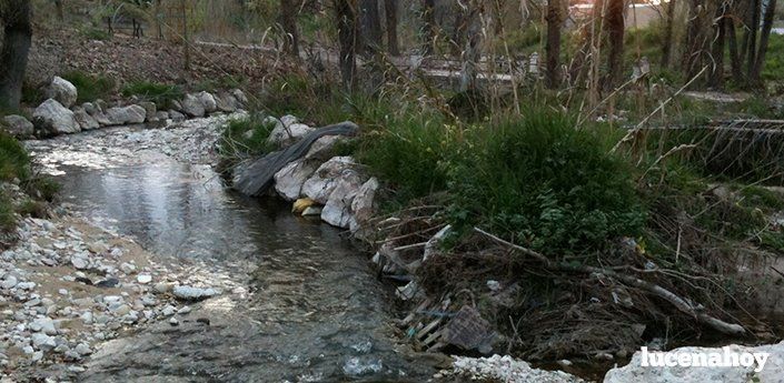  El ayuntamiento acometerá la limpieza del río tras negarse las administraciones central y autonómica 