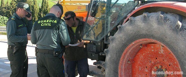  Los agricultores reclaman un dispositivo de vigilancia para el olivar como el de 2013, cuando los robos se redujeron espectacularmente 