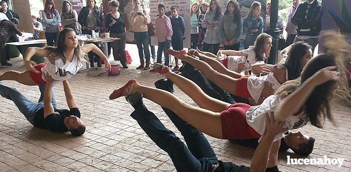  Música, pintura y baile en el IV Encuentro Joven contra la violencia de género (fotos) 