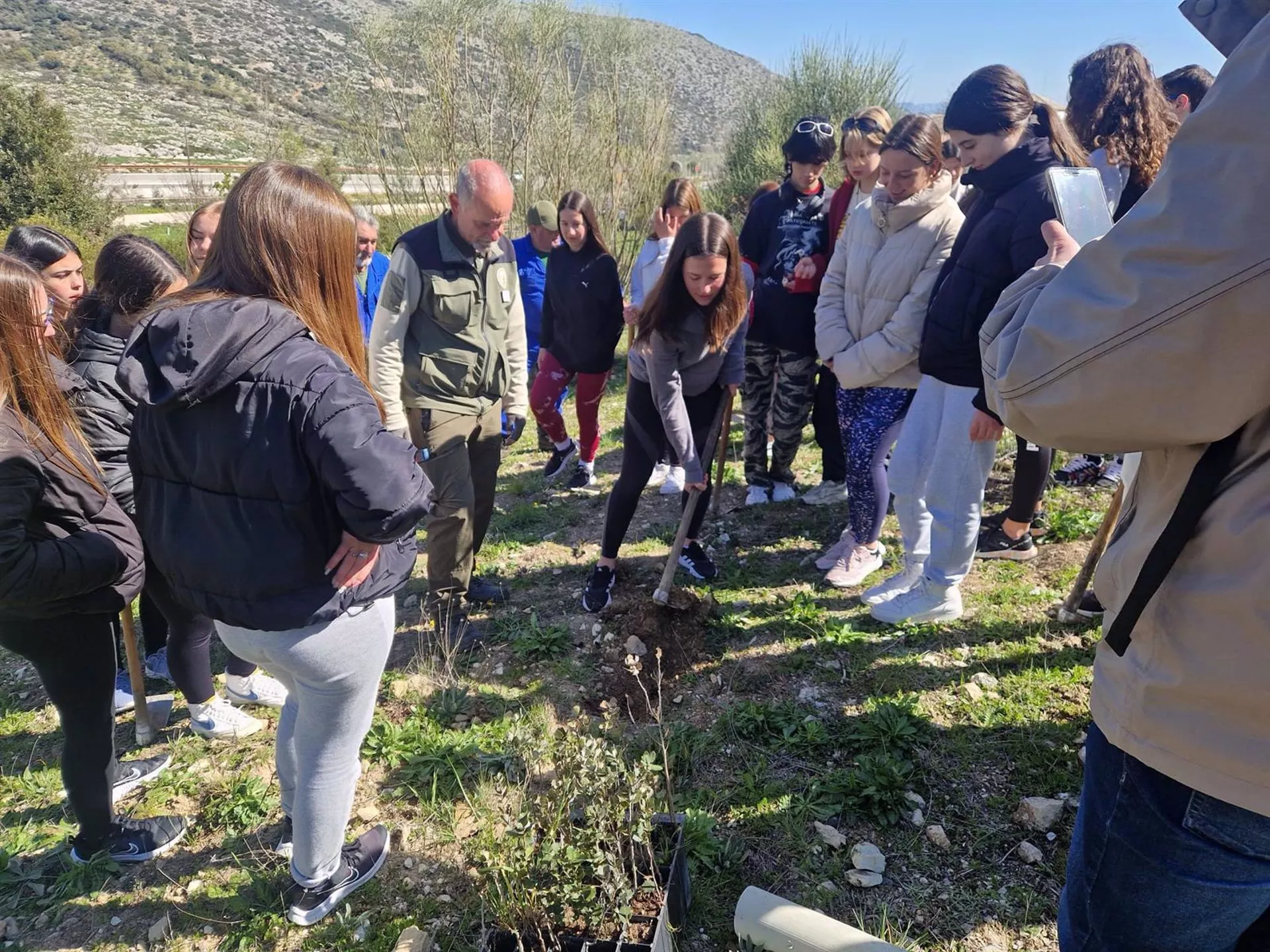 Alumnos del IES Sierra de Aras de Lucena han plantado 120 ejemplares de romeros, encinas y coscojas