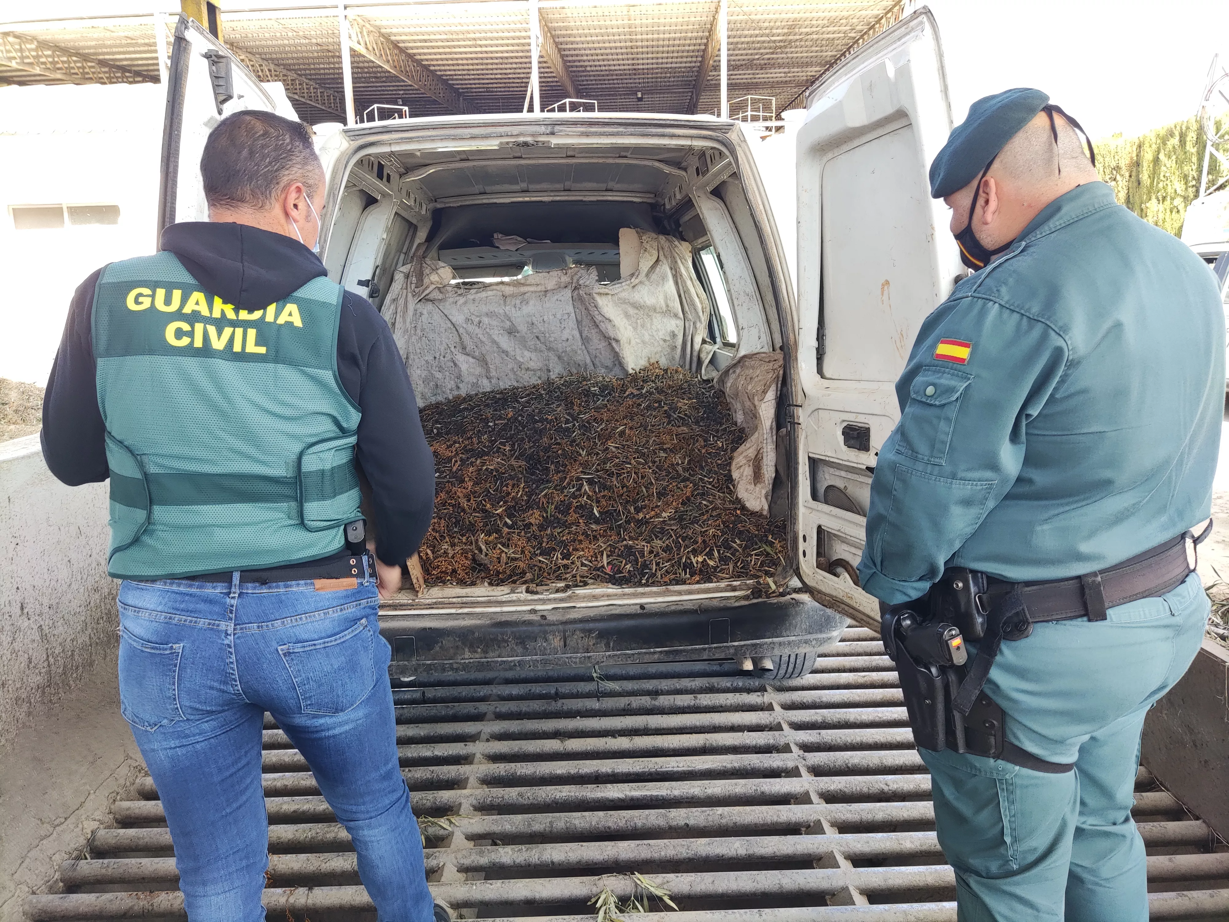 Descarga de la aceituna de uno de los vehículos intervenidos en Lucena 