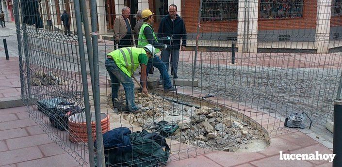  Retiran el macetero de la polémica en la confluencia entre San Francisco y Maristas 