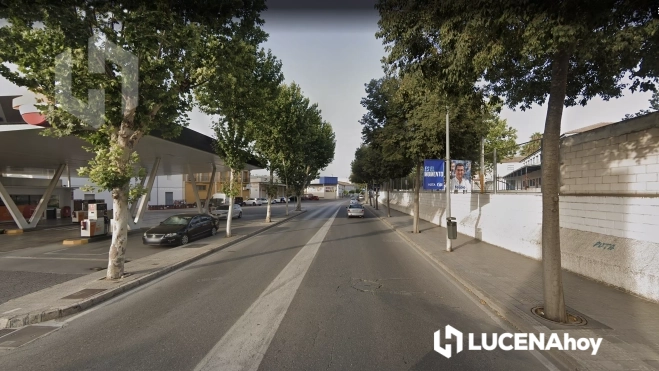 Todos los platanos reales del lado izquierdo de la imagen han sido talados Todos los platanos reales del lado izquierdo de la imagen han sido talados