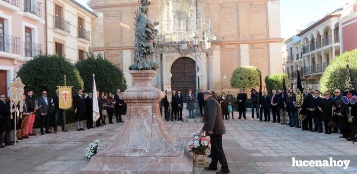  La Agrupación de Cofradías rinde tributo a la Inmaculada Concepción (fotos) 