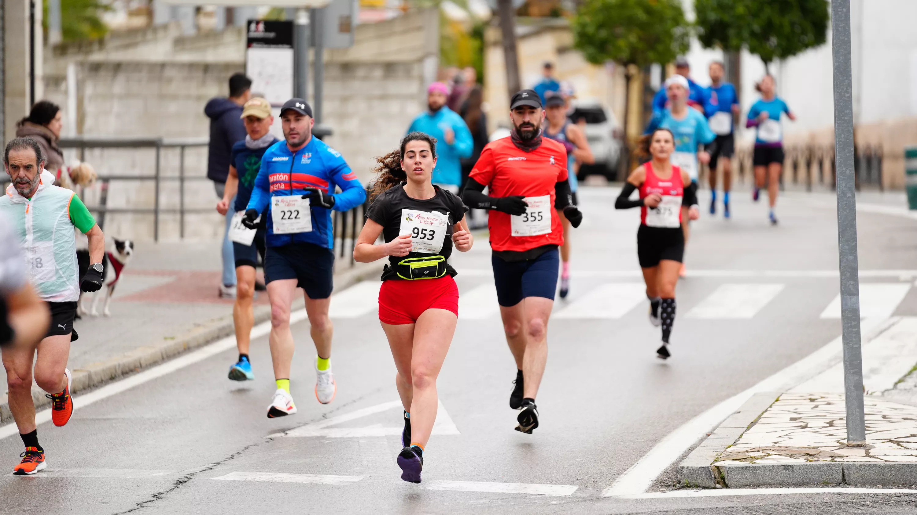 X Media Maratón de Lucena. Jesús Cañete