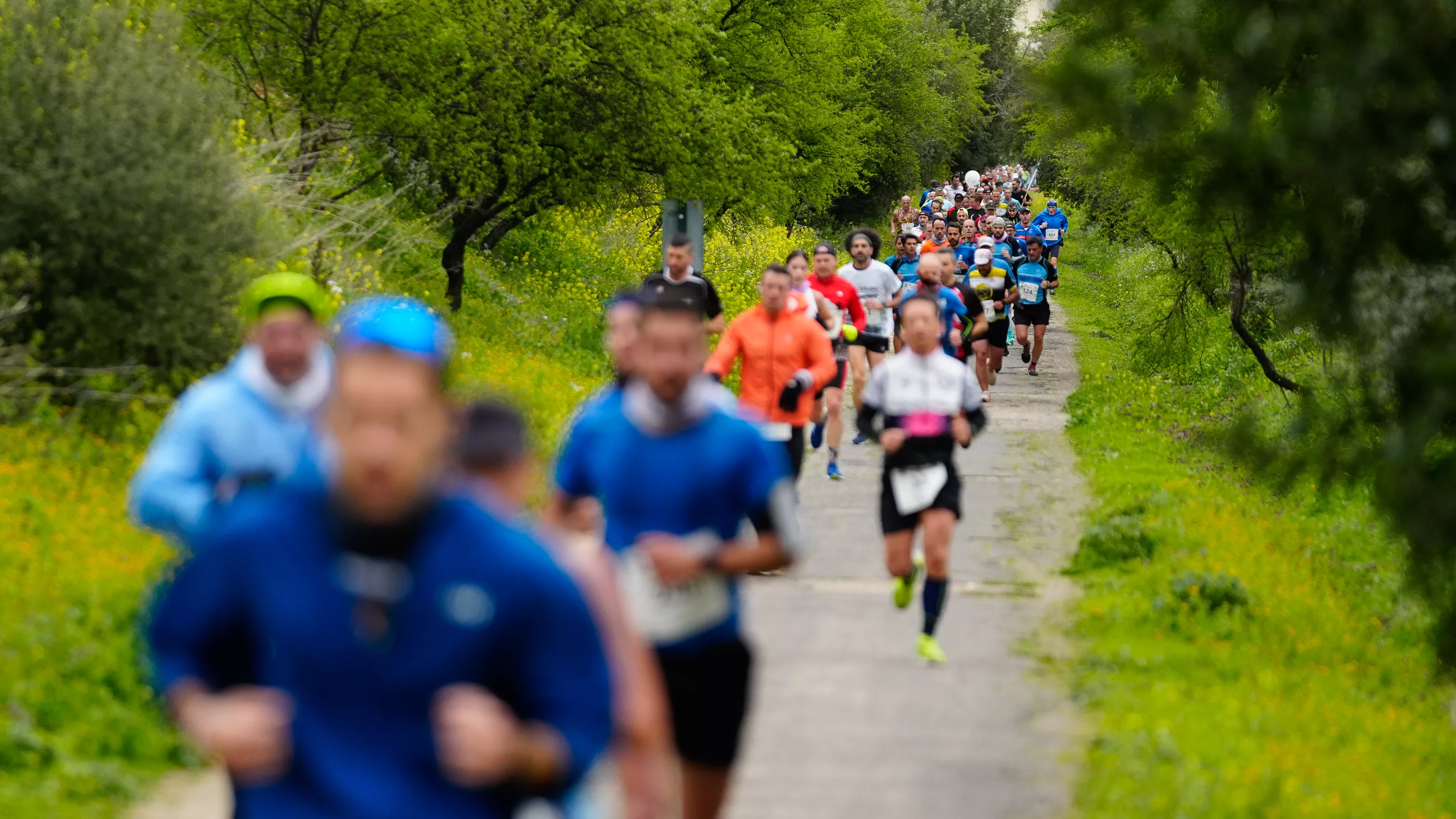  X Media Maratón de Lucena. Jesús Cañete