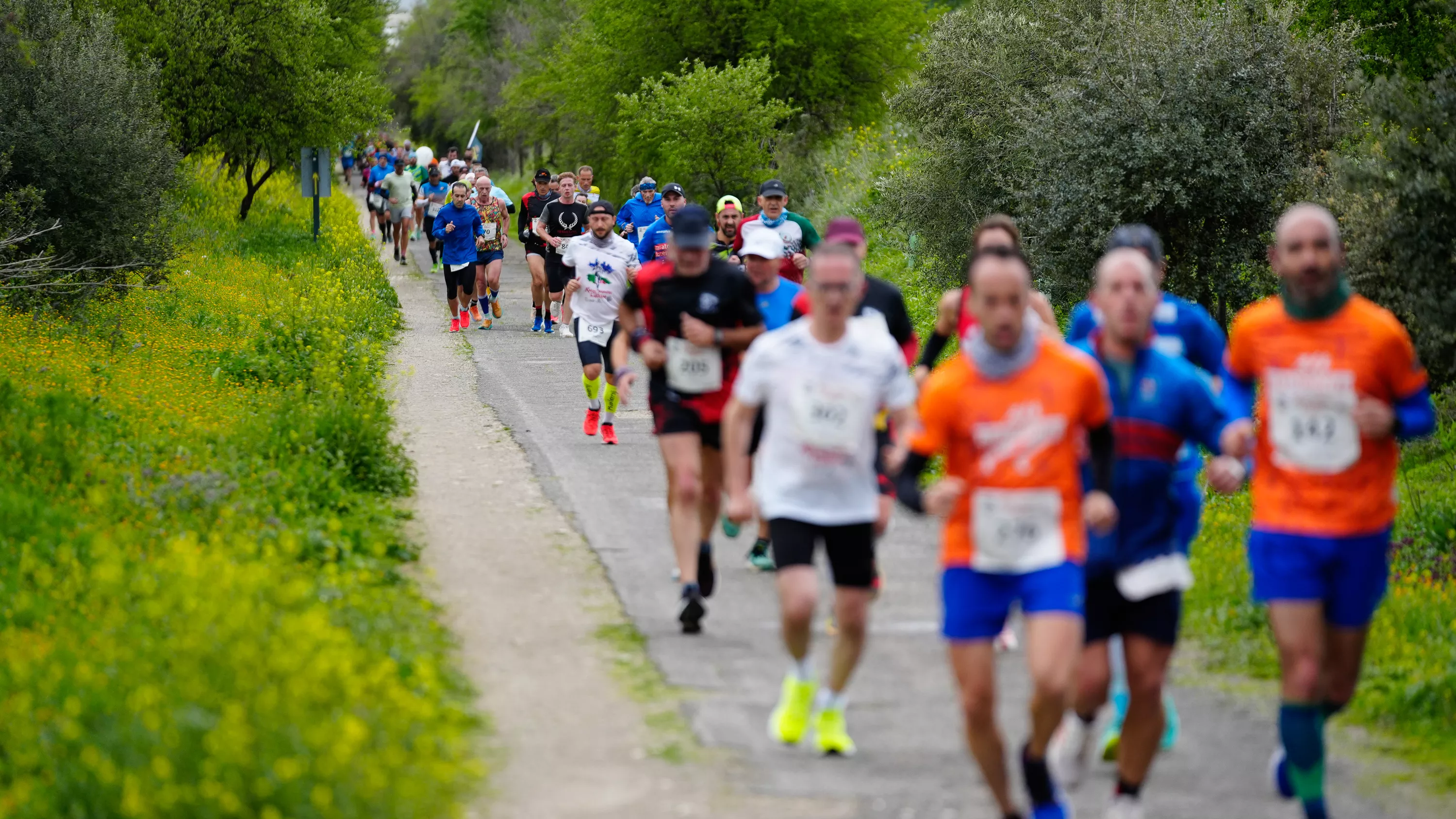  X Media Maratón de Lucena. Jesús Cañete