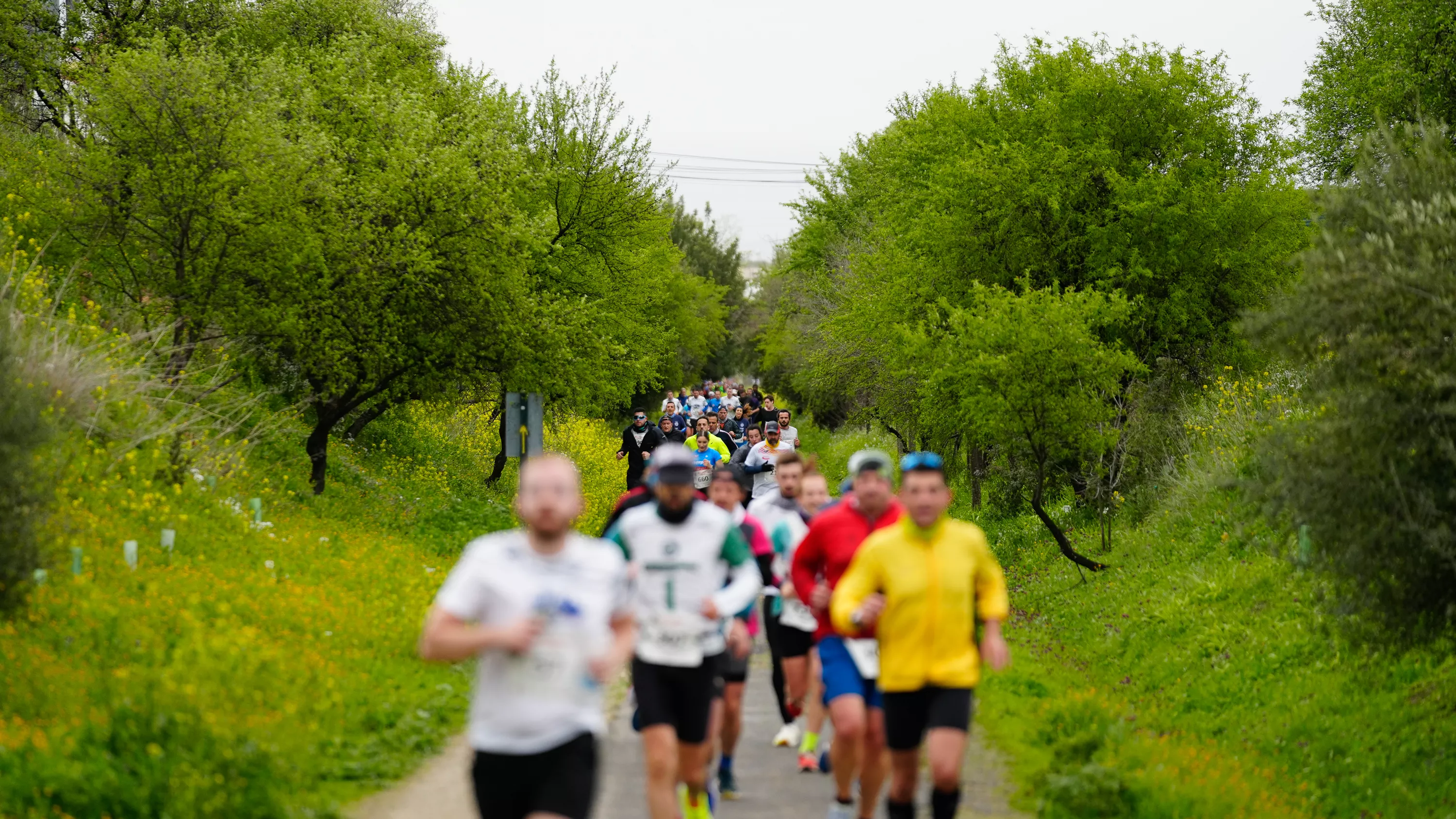 X Media Maratón de Lucena. Jesús Cañete