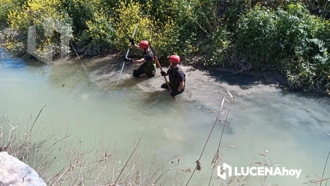 Búsqueda Pedro Mayorgas en el Río Lucena 5