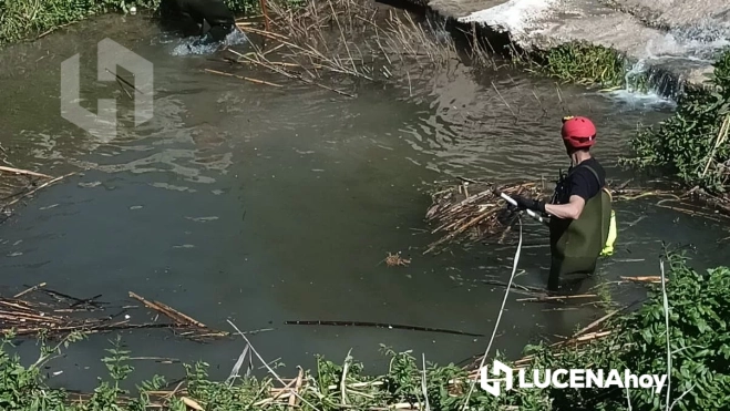 Búsqueda Pedro Mayorgas en el Río Lucena 3