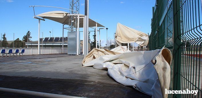  El viento hace caer un árbol y parte de una pérgola entoldada en el PDM, que ha cerrado sus instalaciones 