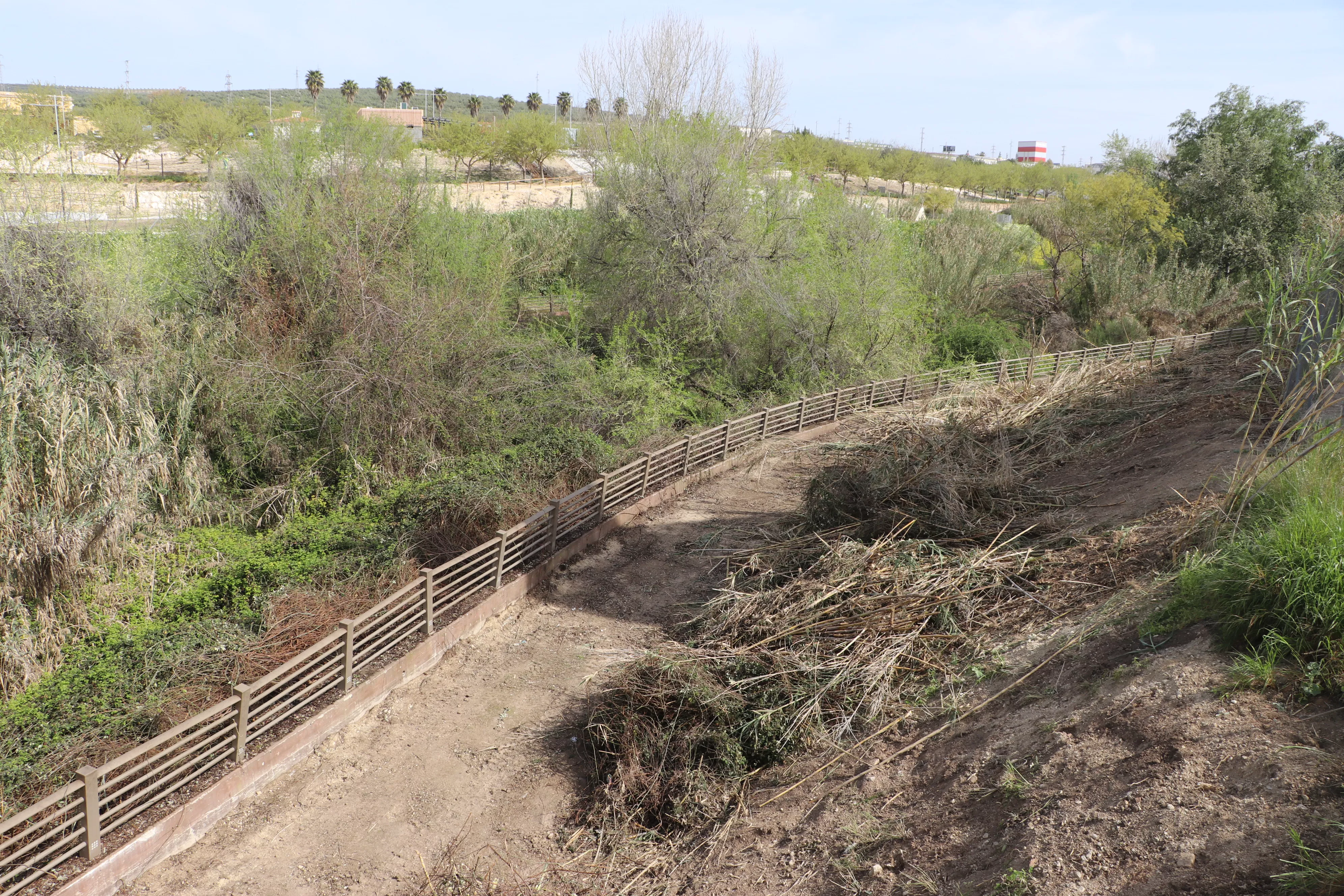 La limpieza del entorno del cauce del río Lucena permite ya disfrutar con comodidad de los senderos fluviales 