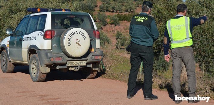  Uno de los operativos realizados por la Guardia Civil en la campaña de aceituna. 