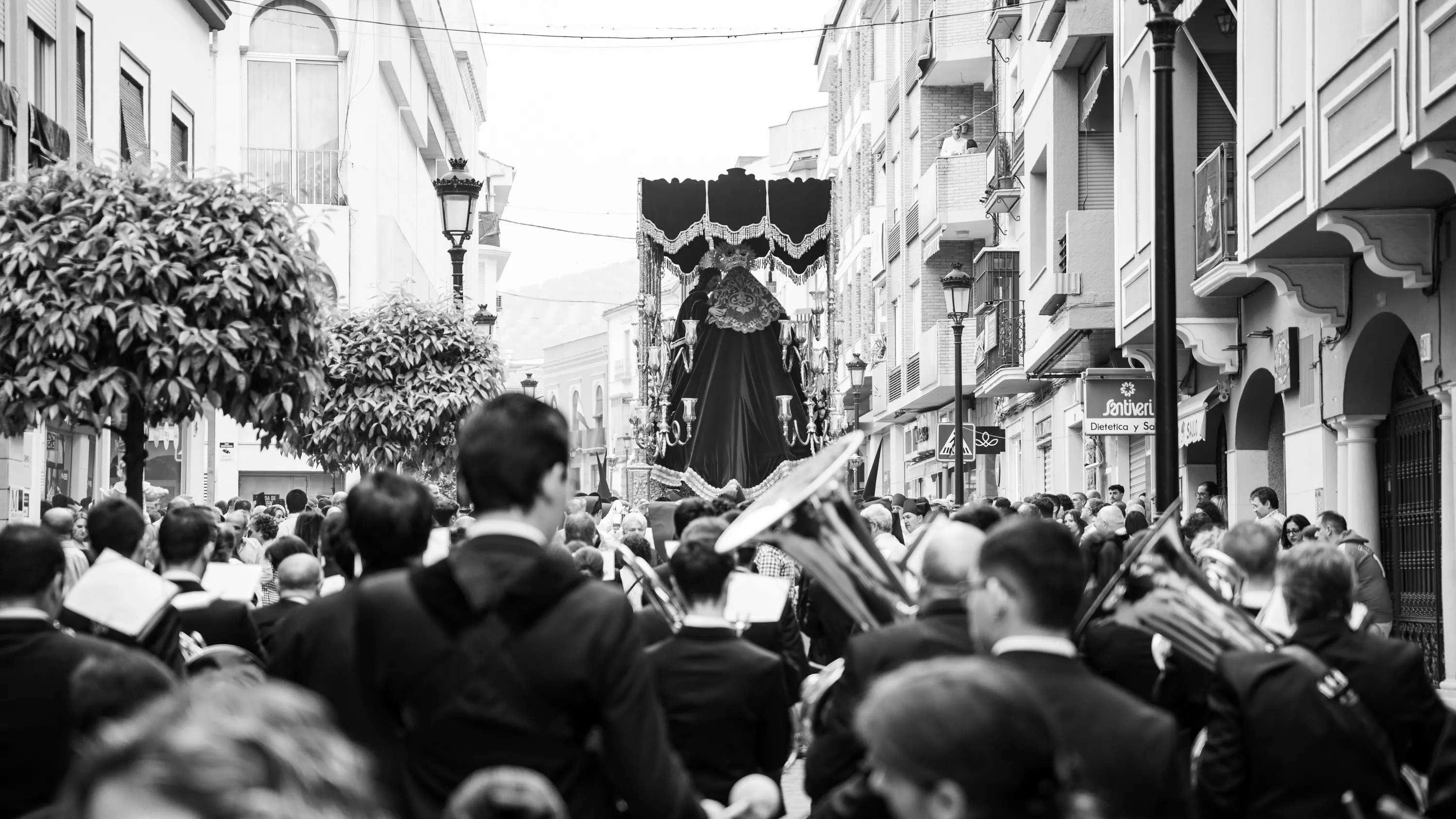 Semana Santa 2024   Domingo de Ramos   ENCUENTRO (32)