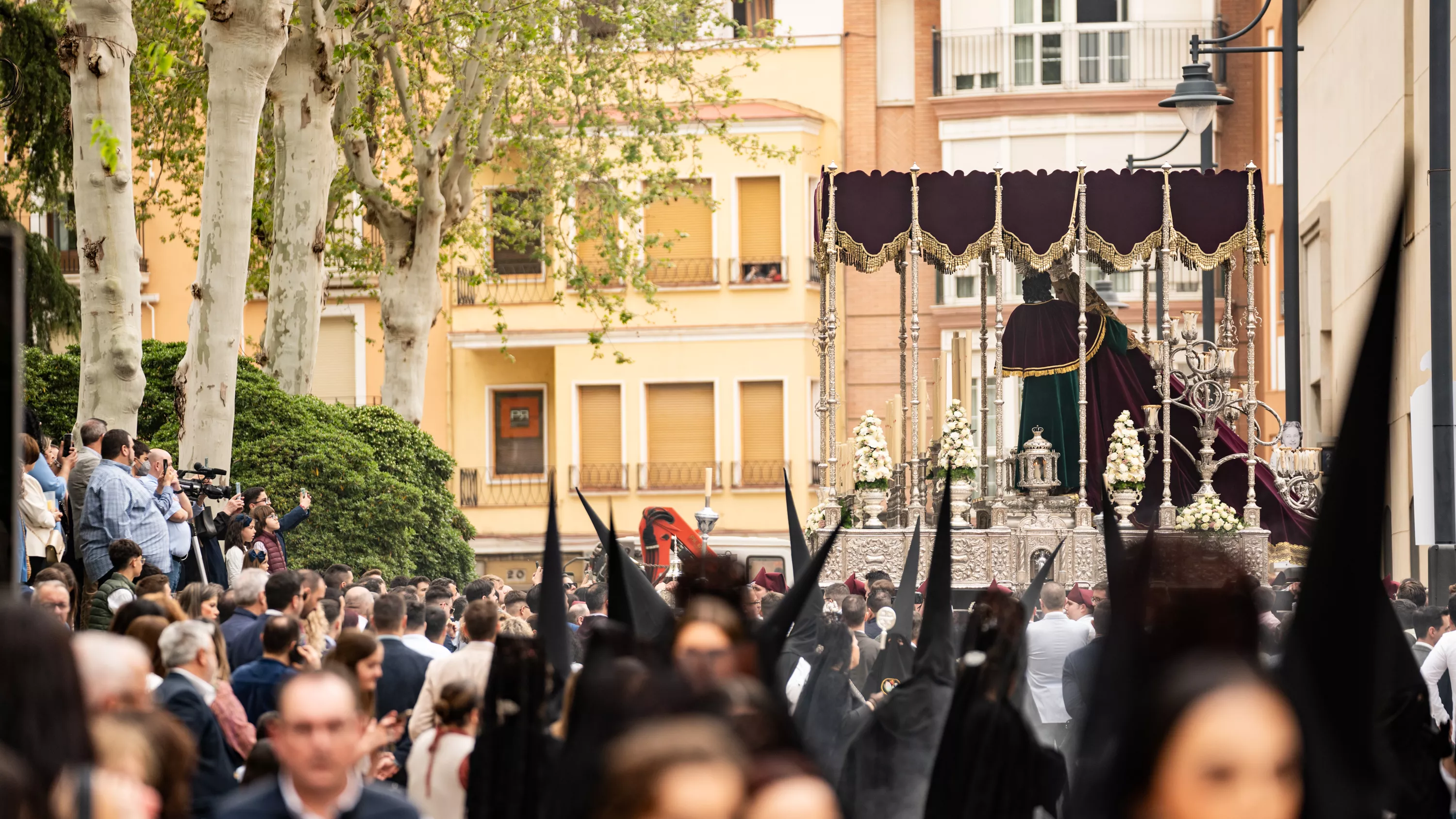 Semana Santa 2024   Domingo de Ramos   ENCUENTRO (37)