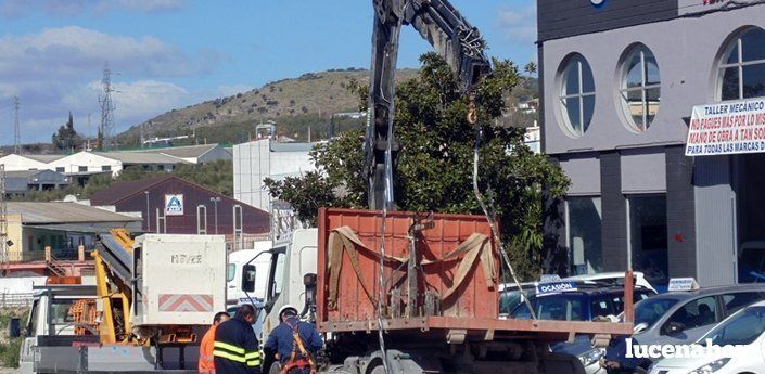  Un camión grúa engancha y derriba la red trenzada de baja tensión que atraviesa la Avda. Miguel Cuenca Valdivia (fotos) 