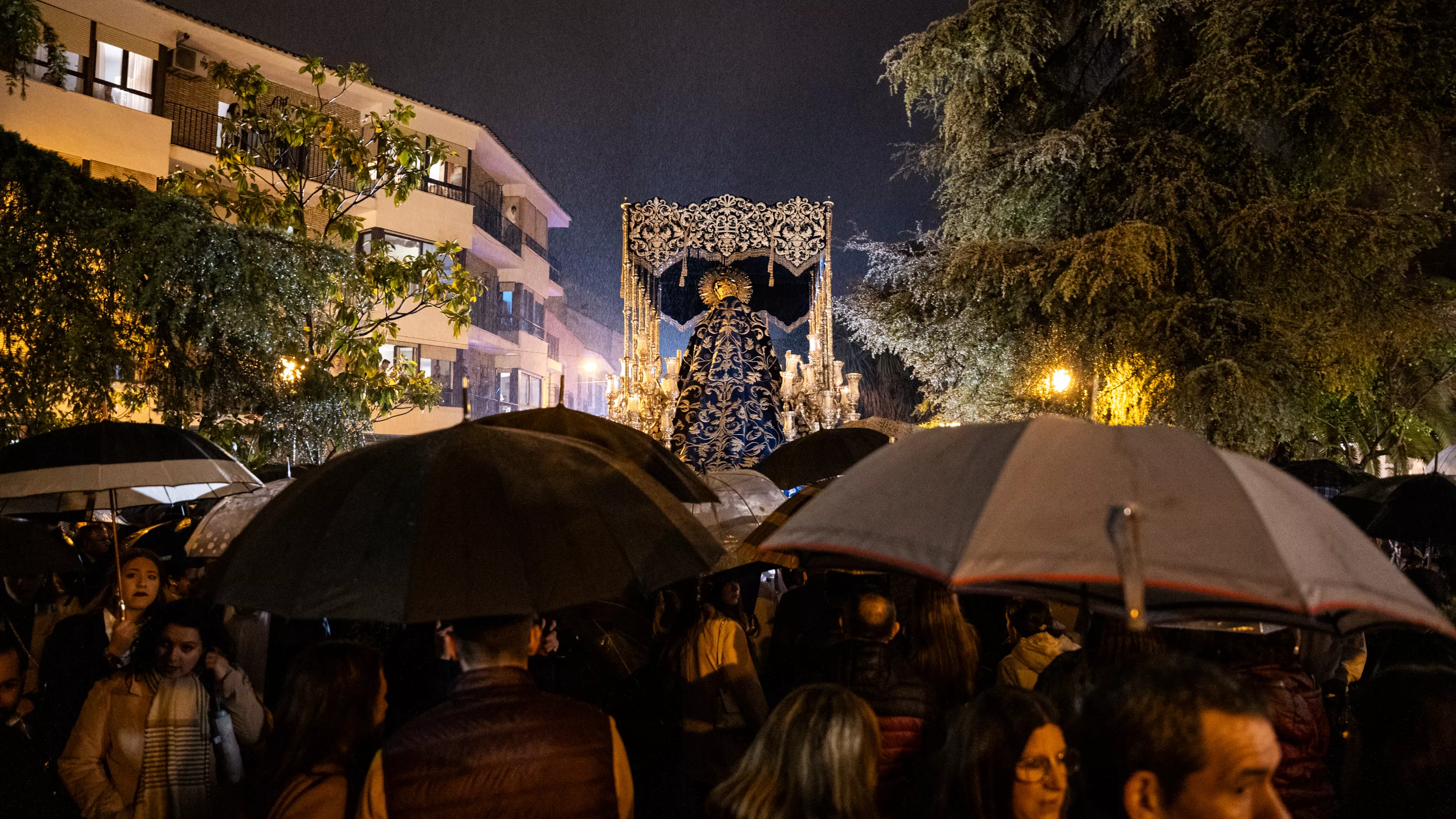 Semana Santa 2024   Lunes Santo   COFRADÍA FRANCISCANA DE PASIÓN (34)