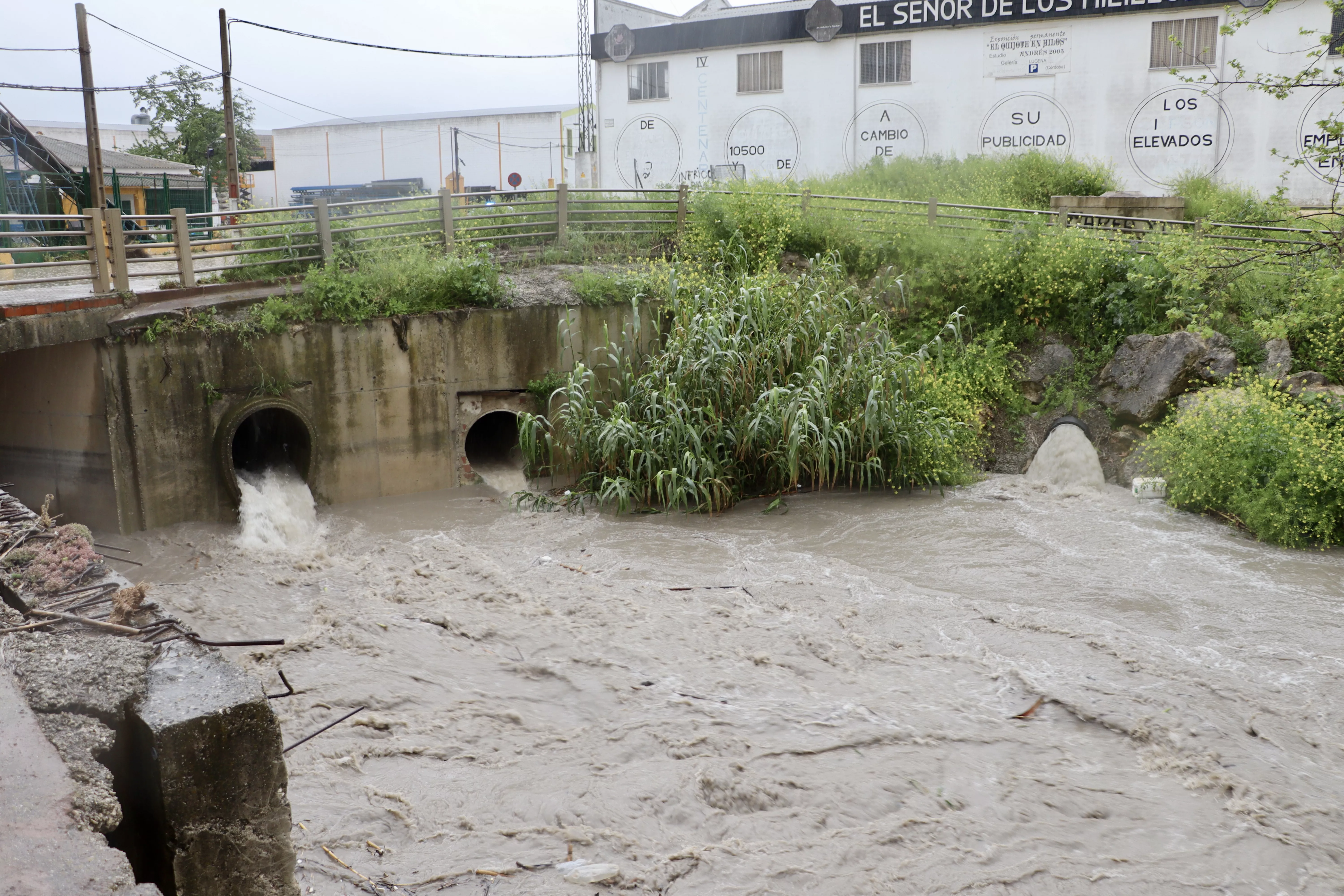 La tormenta deja problemas en distintos puntos de Lucena