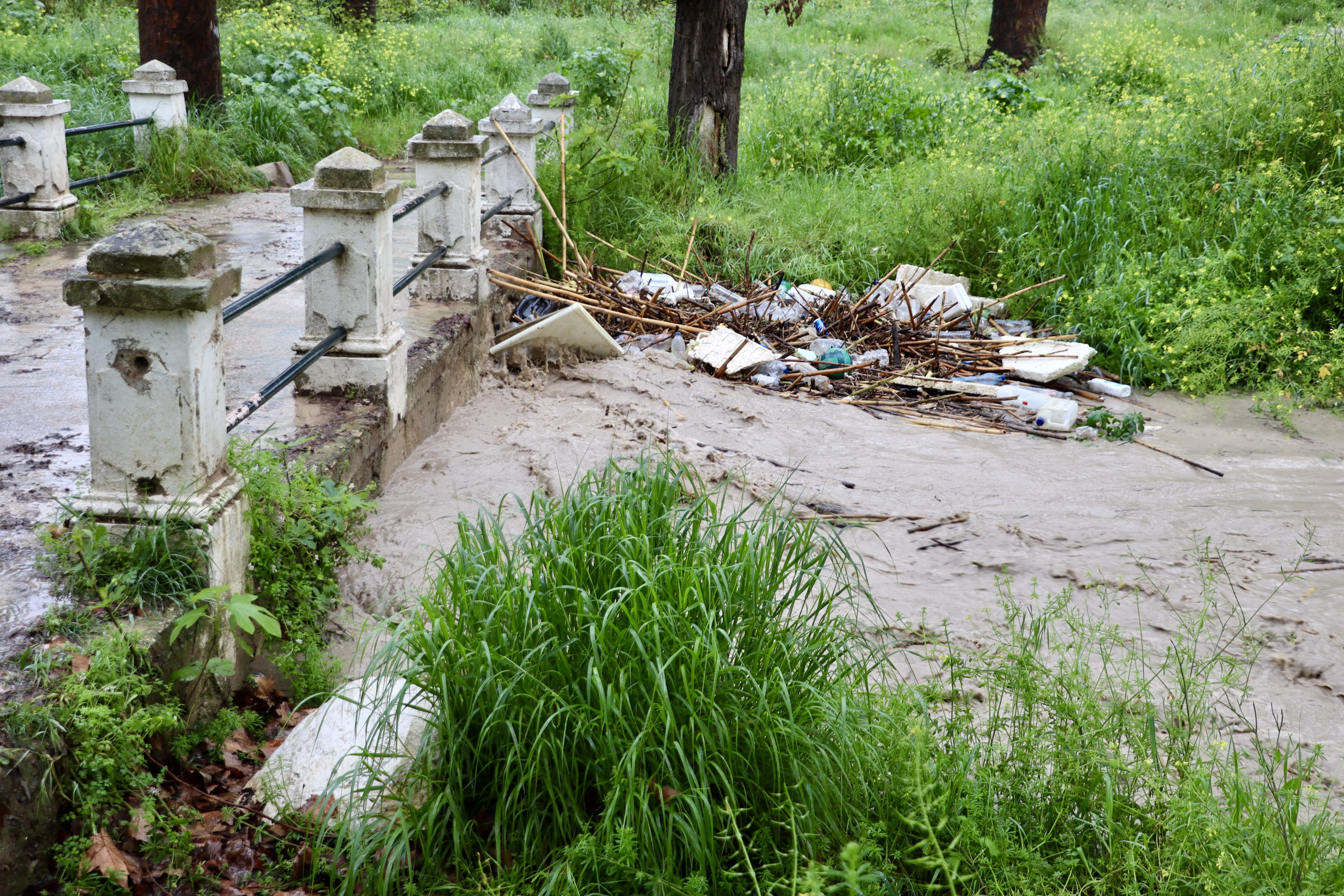 La tormenta deja problemas en distintos puntos de Lucena
